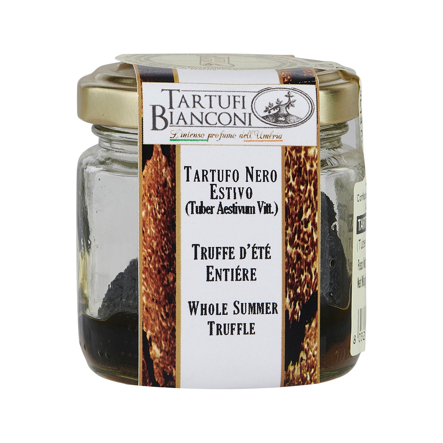 Whole Summer Black Truffle in Brine