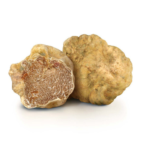 Tartufo Bianco Pregiato Fresco