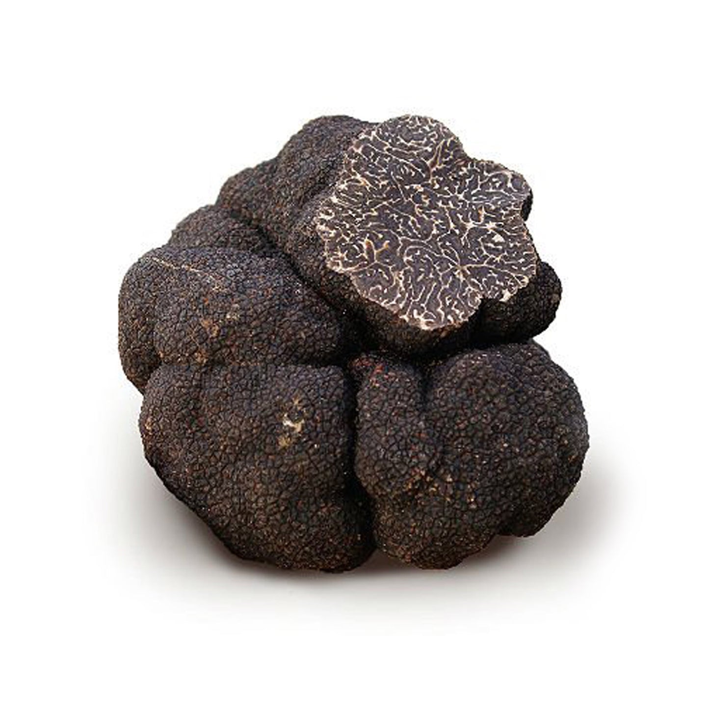 Tartufo Nero Invernale Fresco