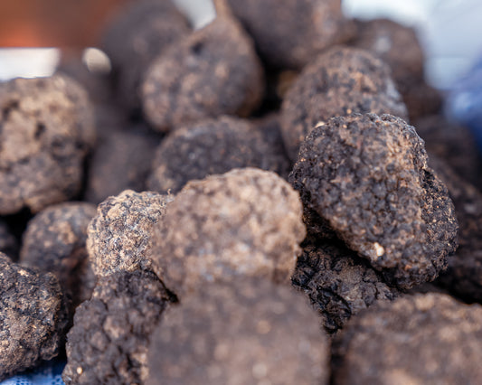 Tartufo Nero Invernale Fresco
