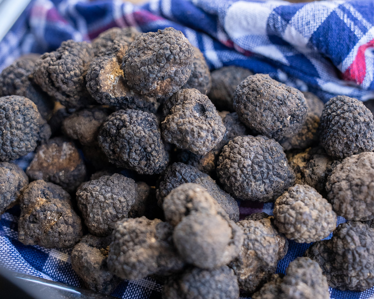 Tartufo Nero Invernale Fresco